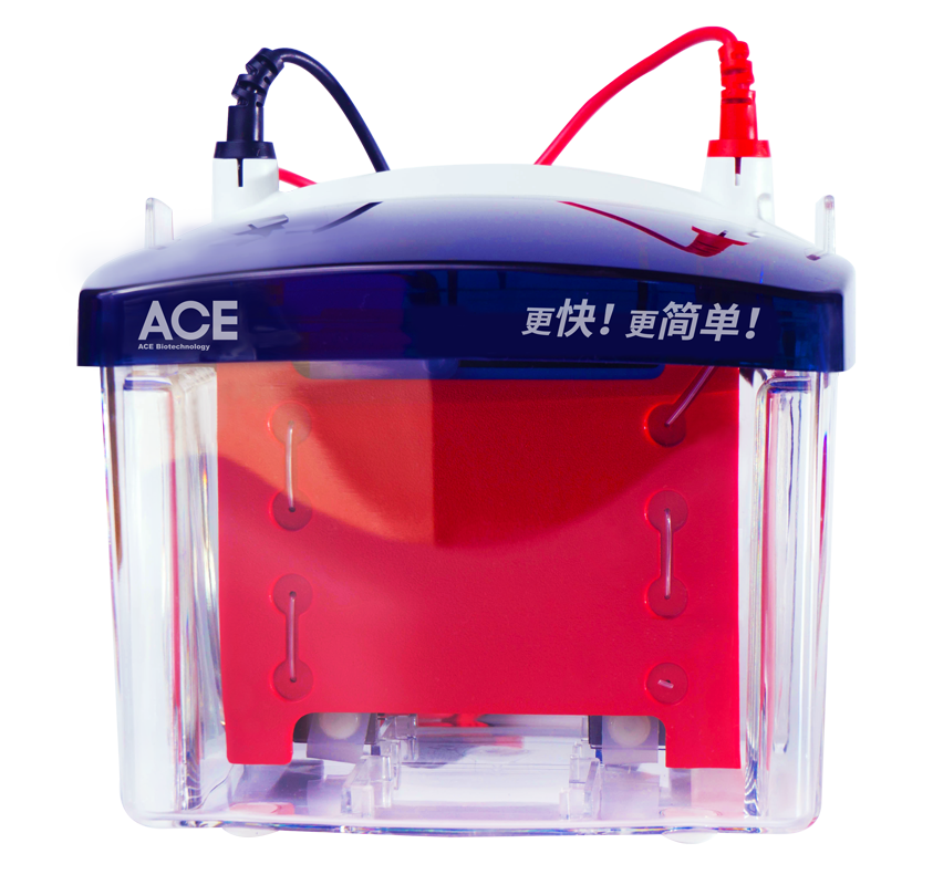 Fast Wet Transfer Gel Tank