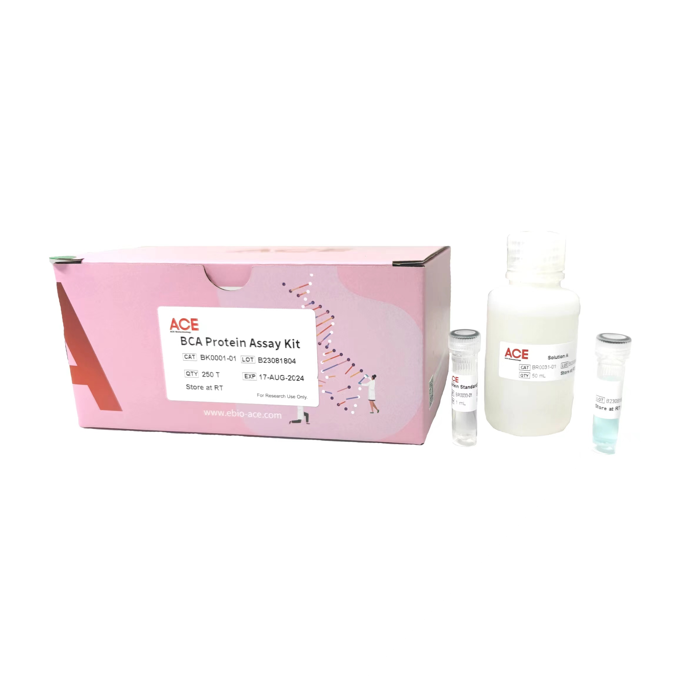 BCA Protein Assay Kit