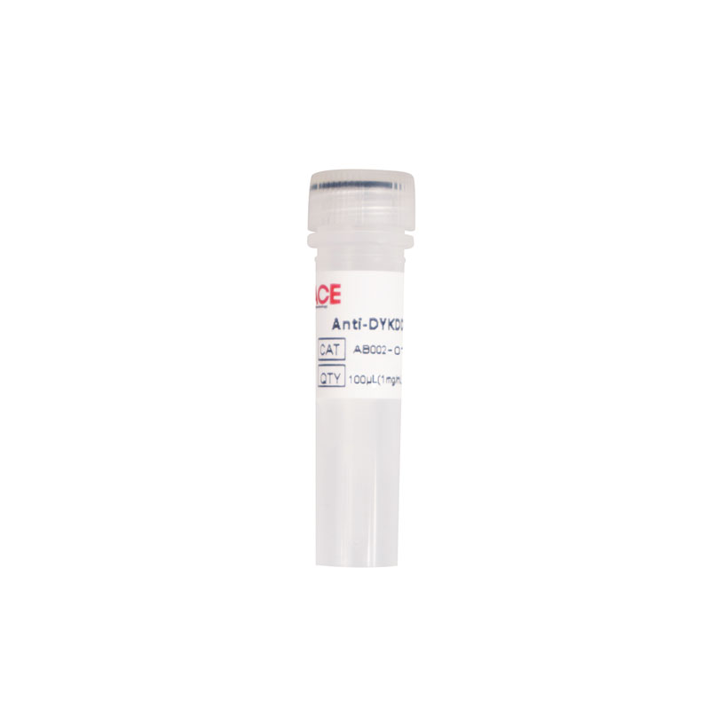 Anti-DYKDDDDK Antibody