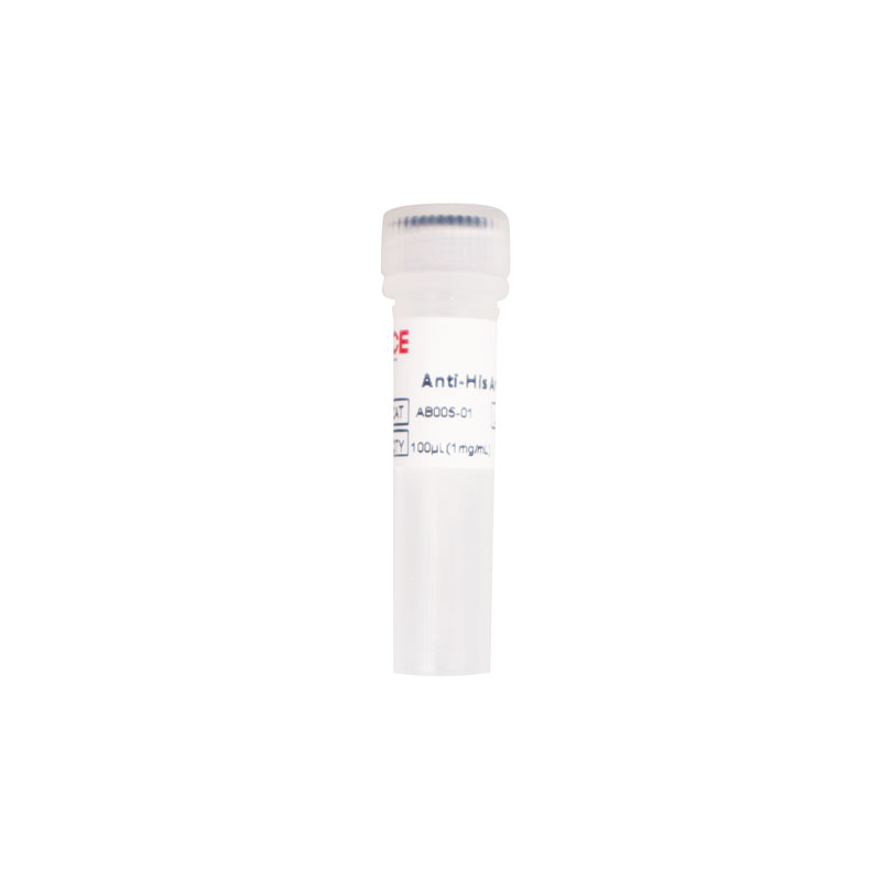 Anti-His Antibody